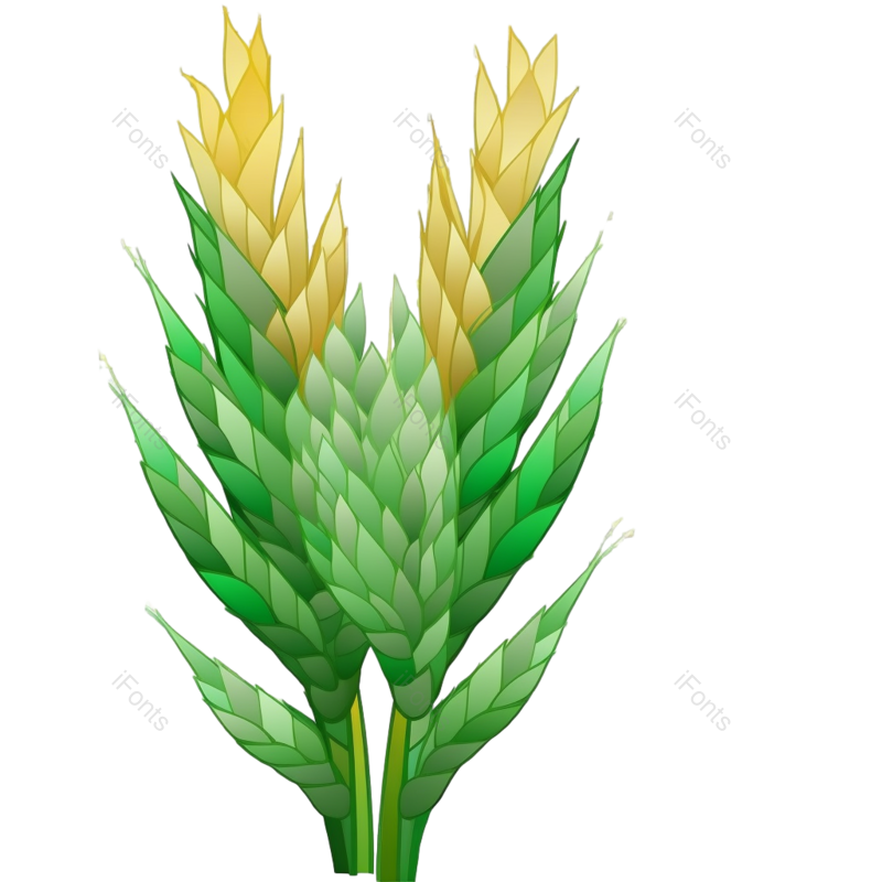 叶子图片,装饰元素,芒种PNG,插画免抠素材